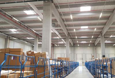 Spațiu industrial, de 1,000 mp, în Mogoșoaia - 2