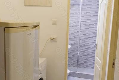 Apartament cu 2 camere decomandat, mobilat în Viitorului - 2
