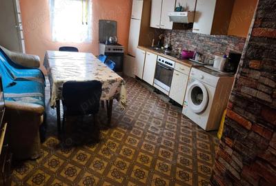 Casă cu 3 camere cu Teren 2700 Mp în Vălcani - 2