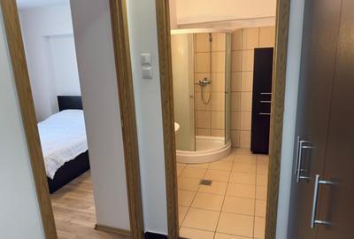 Apartament cu 2 camere decomandat în Trivale