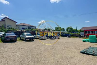 Spațiu industrial, de 103.34999847412 mp, în Theodor Pallady - 4