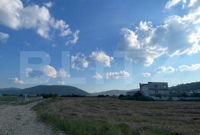Teren Construcții extravilan de 5600 mp, în Exterior Sud