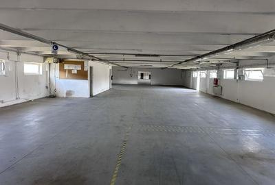 Spațiu comercial, de 5,500 mp, în Bălata