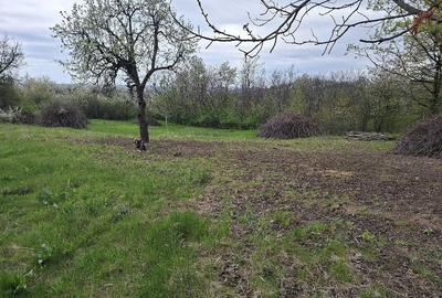 Teren de 6310 mp, în Curături - 3