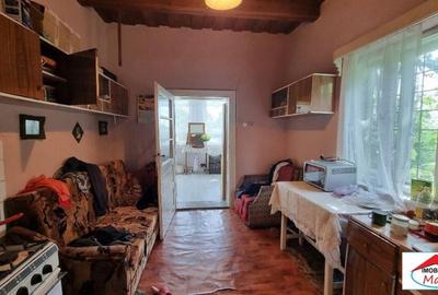 Casă individuală cu 2 camere cu Teren 8052 Mp în Viile Satu Mare - 10