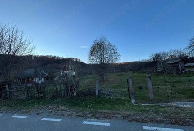 Teren de 1600 mp, în Mihăești - 1