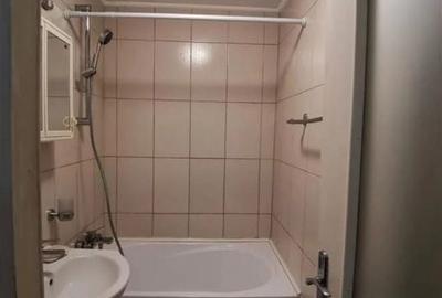 Apartament cu 2 camere decomandat în Parcul Circului - 1