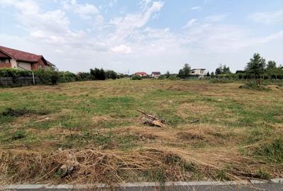 Teren construcție, în Cornetu - 5