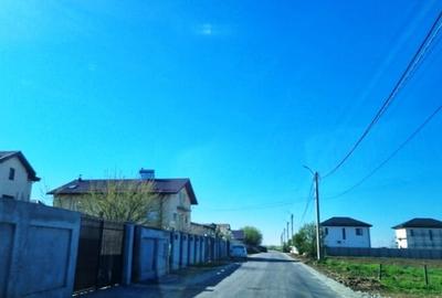 Teren Construcții intravilan de 5000 mp, în Bălăceanca - 7