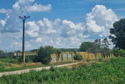 Teren agricol extravilan de 27500 mp, în Șerbești - 8