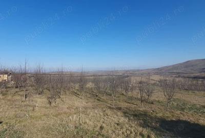 Teren de 3000 mp, în Boju - 1