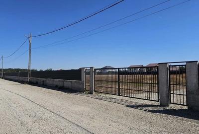 Teren Construcții intravilan de 774 mp, în Otopeni