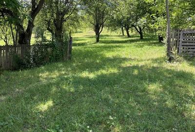 Casă cu 3 camere în Dumbrava - 7