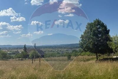 Teren Construcții de 7200 mp, în Central - 1