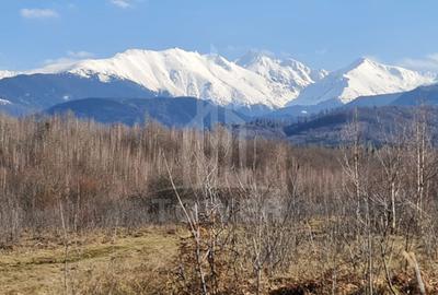 Teren extravilan de 2500 mp, în Porumbacu de Jos - 10