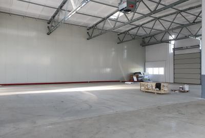 Spațiu industrial, de 5,000 mp, în Centură