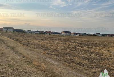 Teren Construcții intravilan de 2500 mp, în Bălăceanca - 4