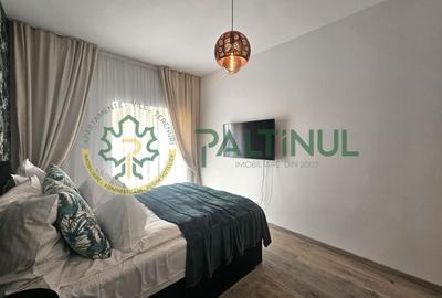 Apartament cu 2 camere decomandat în Sub Arini - 9