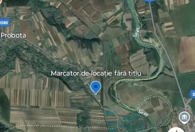 Teren de 2800 mp, în Probota