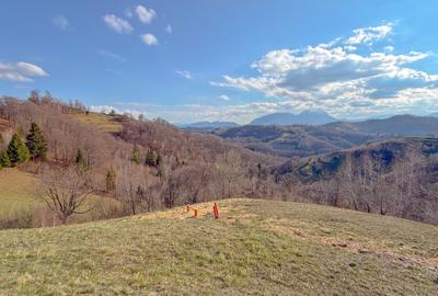 Teren extravilan de 12000 mp, în Holbav