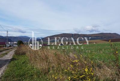 Teren agricol intravilan de 10000 mp, în Gârcina - 4