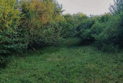 Teren de 2300 mp, în Cuzăplac - 1