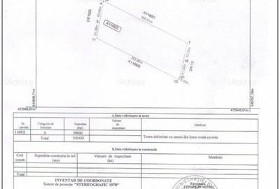 Teren Construcții extravilan de 50000 mp, în Hălchiu - 3