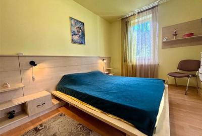 Casă individuală cu 10 camere cu Piscina în Malul Ursului - 23