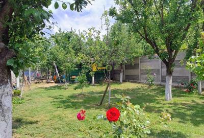 Casă cu 3 camere cu Canalizare în Șag - 6