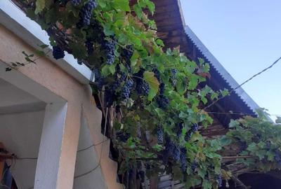 Casă cu 3 camere în Valea