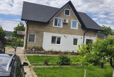 Spațiu comercial, în Paltin - 4