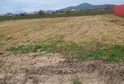 Teren de 1000 mp, în Hărman - 2
