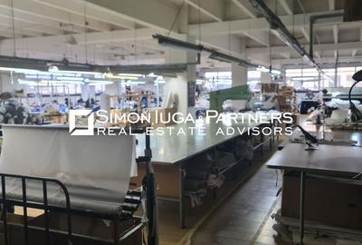 Spațiu industrial, de 3,130 mp, în Gheorghe Doja