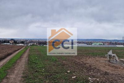 Teren agricol intravilan de 10000 mp, în Vest - 6
