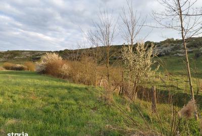 Teren de 8289 mp, în Mica - 4