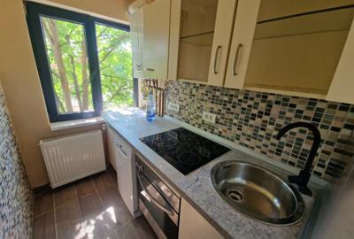 Apartament cu 2 camere nedecomandat în Take Ionescu - 16