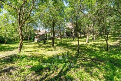 Casă individuală cu 2 camere cu Teren 1368 Mp în Livada (Petreștii de Jos) - 12