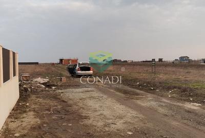 Teren Construcții intravilan de 600 mp, în Berceni - 3
