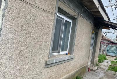Casă cu 1 camere în Mircea-Vodă - 1