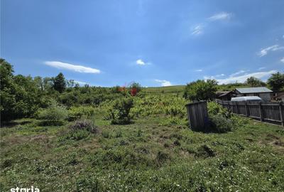 Teren de 4800 mp, în Tomești - 6
