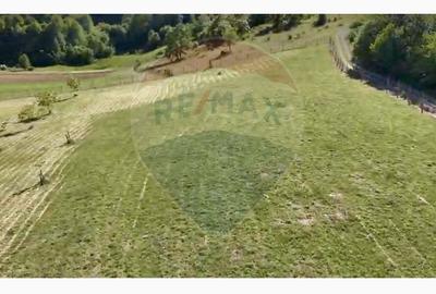 Teren agricol intravilan de 20170 mp, în Șuncuiuș - 10