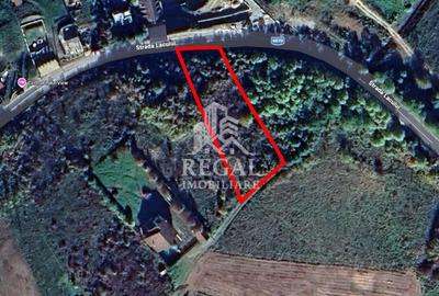 Teren Construcții intravilan de 770 mp, în Cinciș-Cerna
