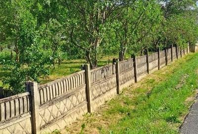 Casă cu 2 camere în Șoimeni - 4