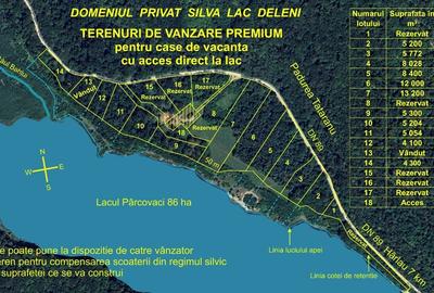 Teren extravilan de 5000 mp, în Deleni - 1