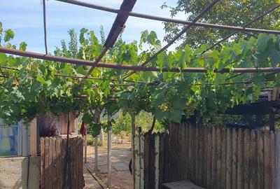 Casă cu 4 camere în Spiru Haret - 3