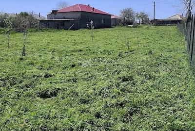 Teren de 1400 mp, în Dulcești - 5