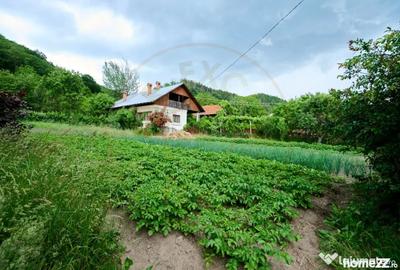 Casă cu 3 camere cu Teren 4696 Mp în Central - 7