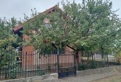 Casă cu 3 camere în Cerneteaz