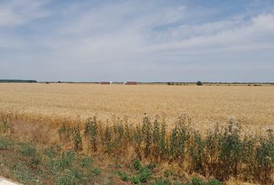 Teren Construcții intravilan de 20000 mp, în Joița - 9