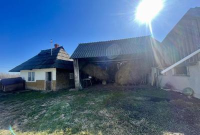 Casă individuală cu 3 camere cu Canalizare în Frătăuții Noi - 16